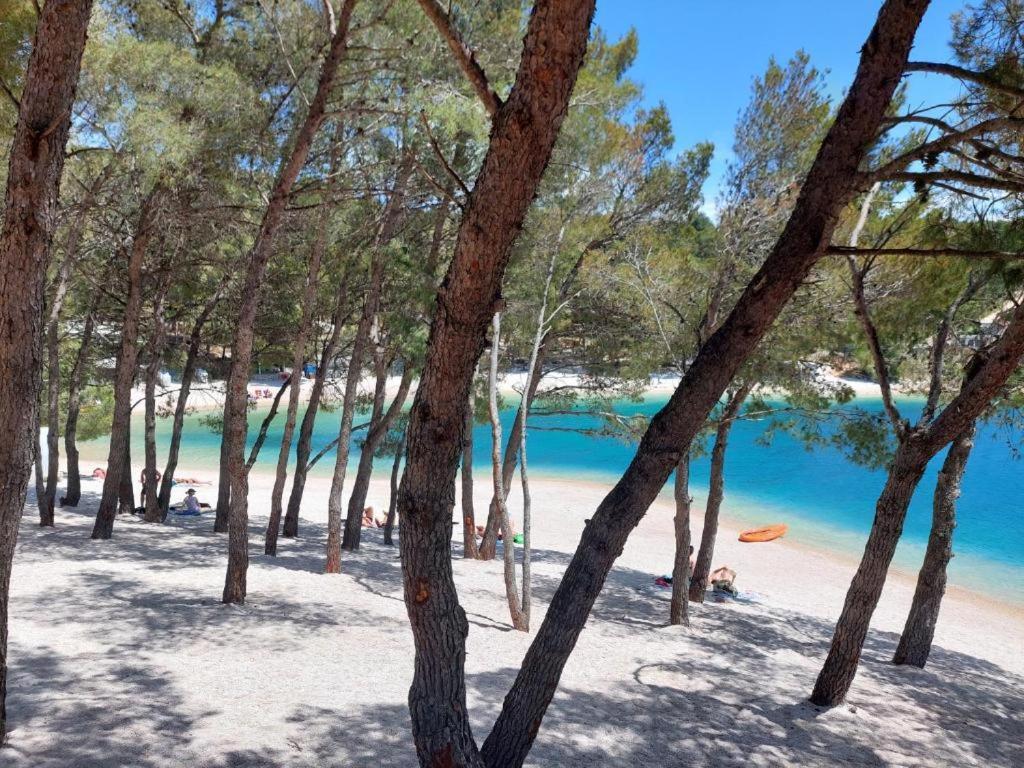 Luxury Mobile Home Pretty Green - Premium - Oaza Mira Resort -50 M From The Beach Drage Exteriér fotografie